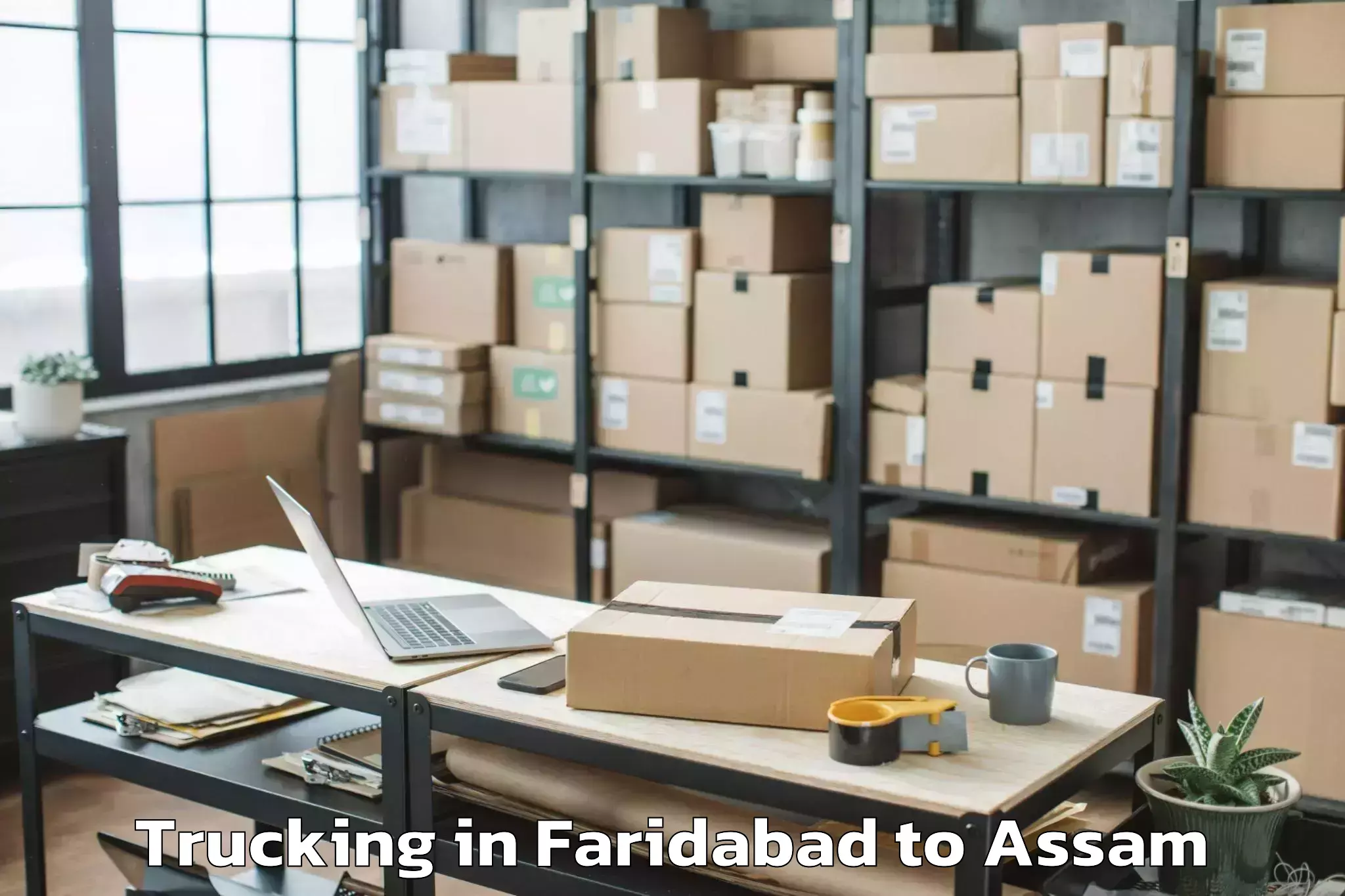 Faridabad to Umrangso Trucking Booking